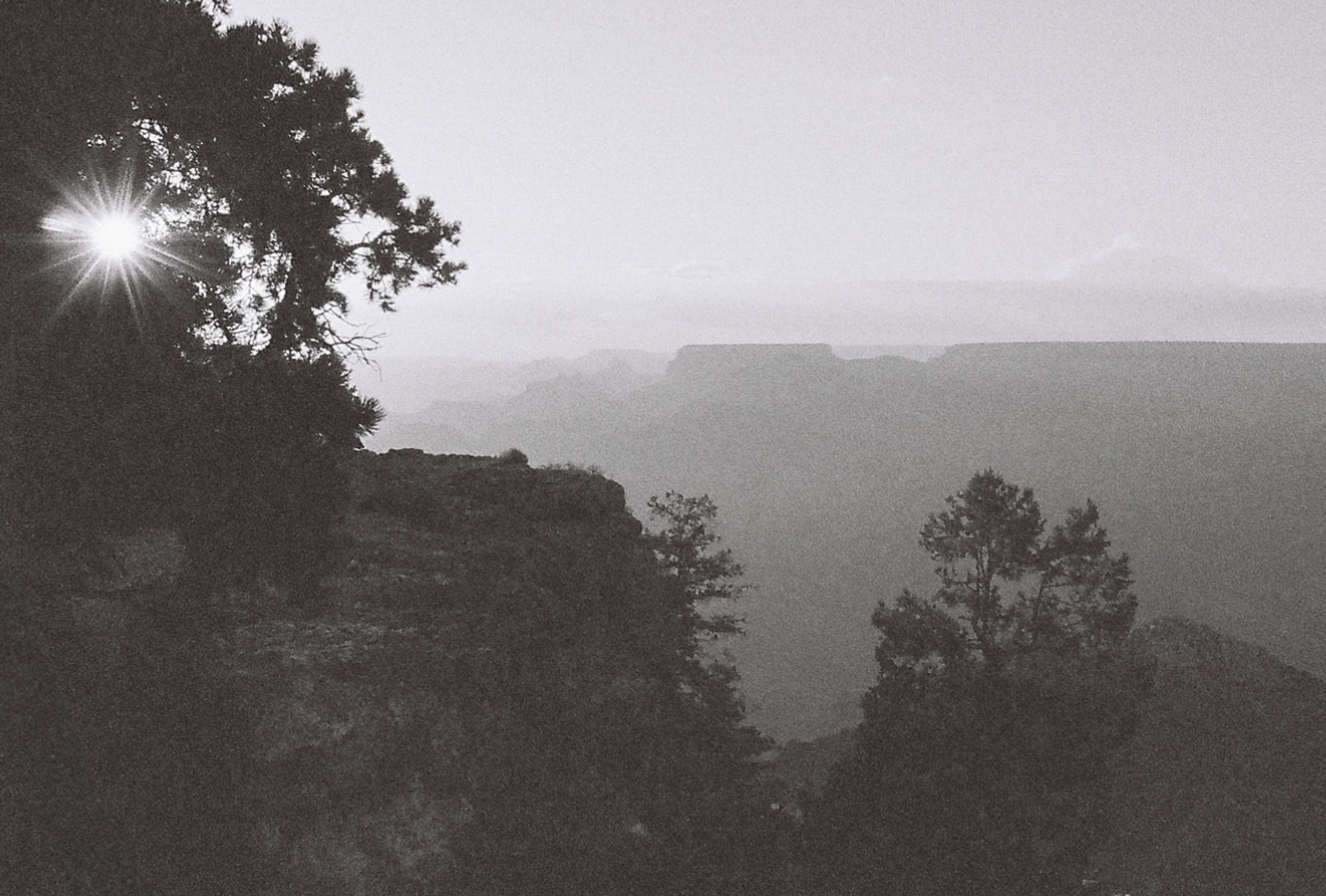 Grand Canyon rim with sunburst, 35mm black and white