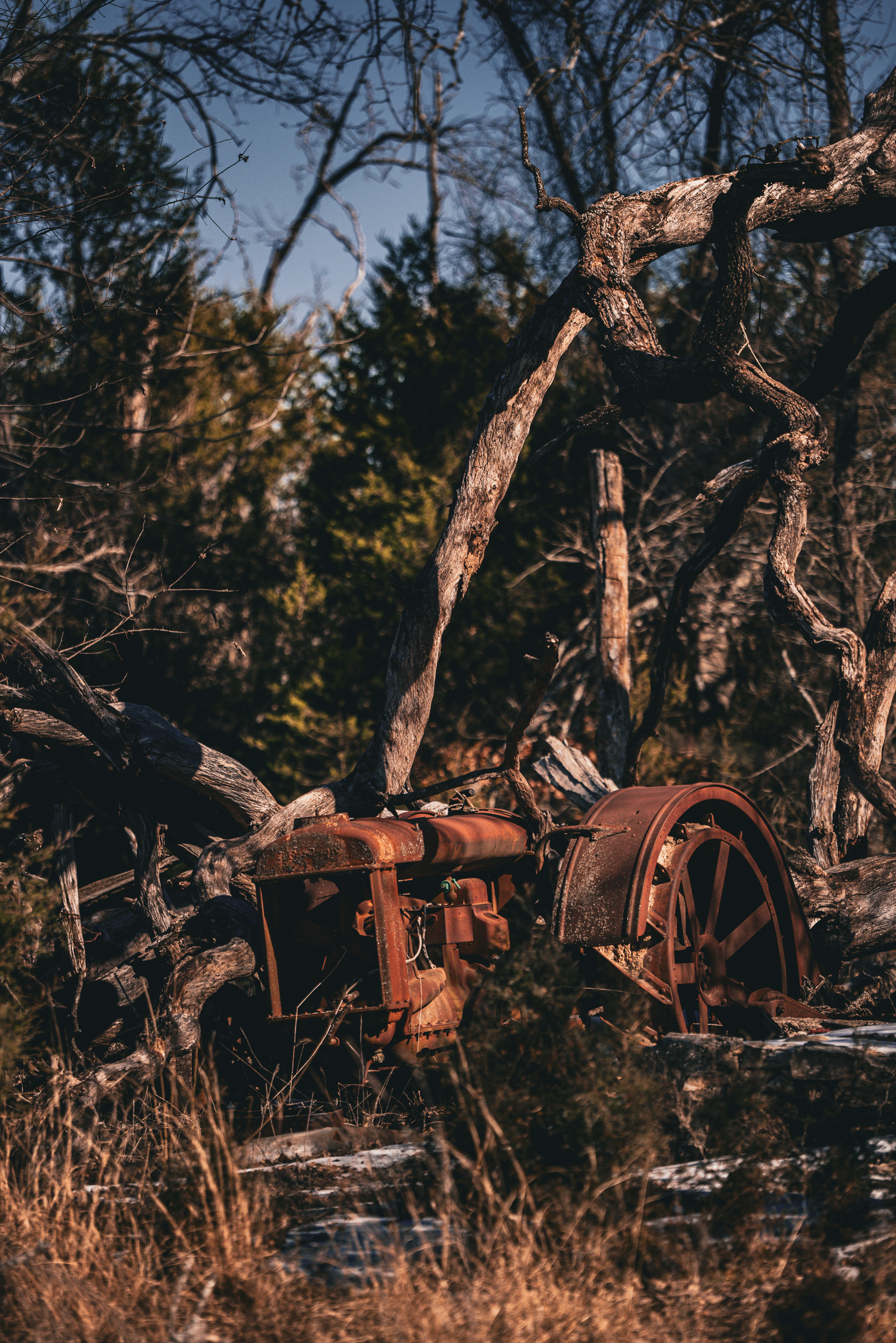 Rusted tractor in brush