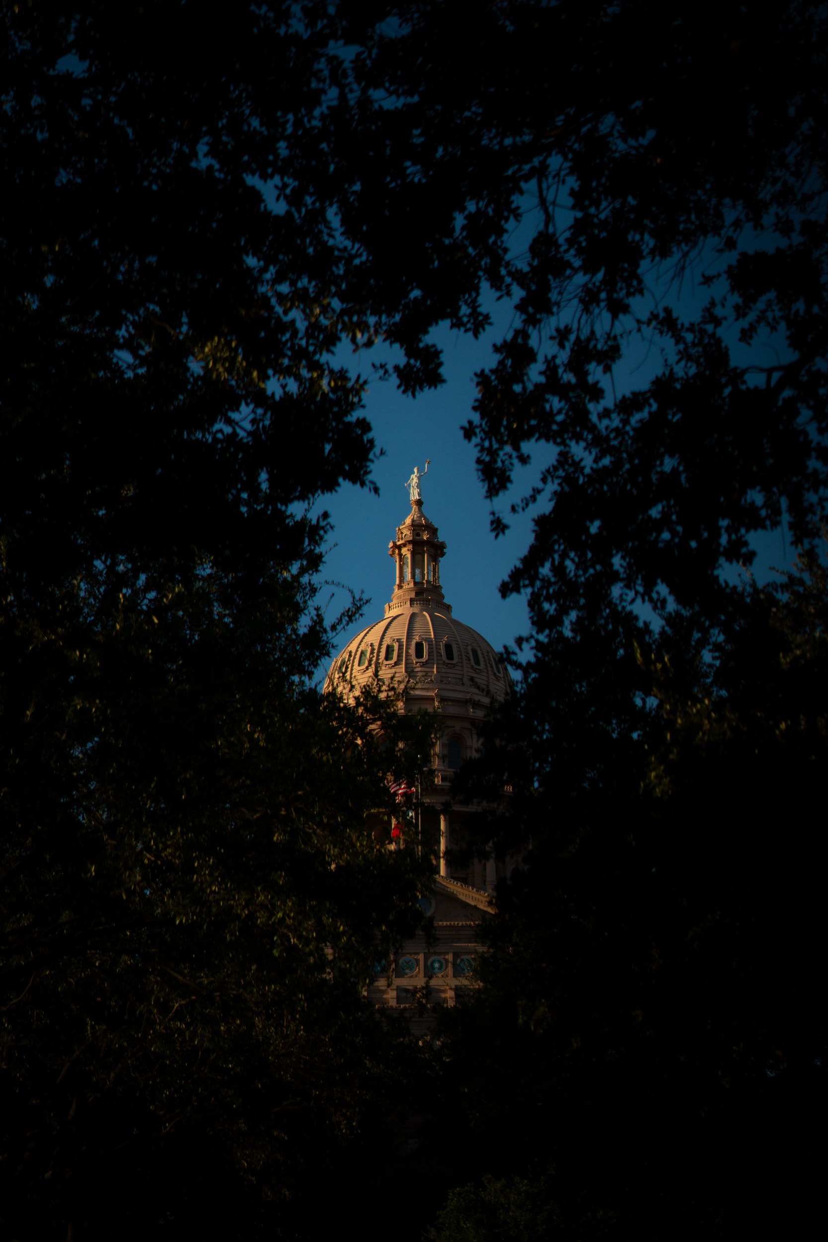 Texas Capitol dome lit through dark trees, Austin